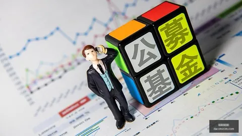 战队新成员实力分析，新赛季期待
